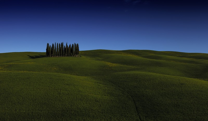 landscape, nature, field, hill, trees, grass, sky, clear sky, sky blue, green, blue