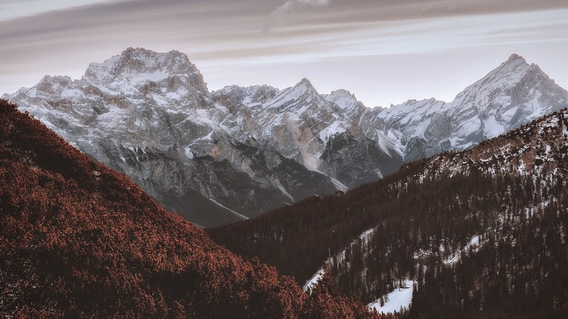 nature, mountains, snow, snowy mountain, snowy peak, trees