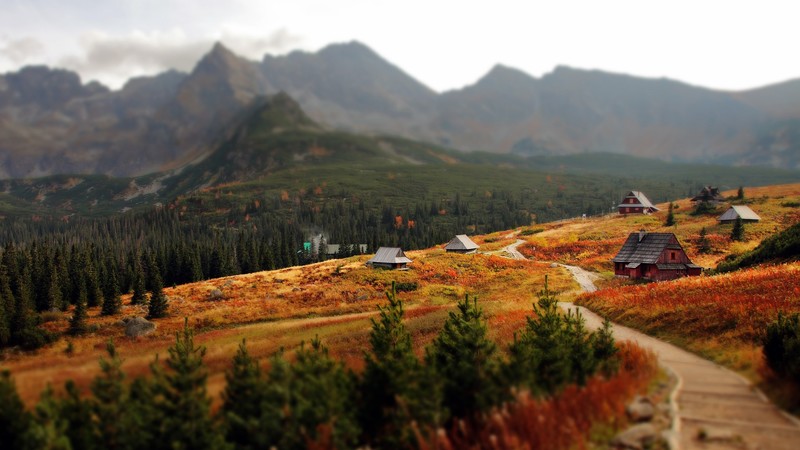 village, Slovakia, mountains, cottage, landscape, nature, tilt shift, trees, forest