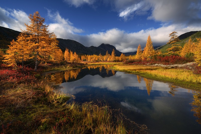 Russia, creeks, stream, landscape, nature, water, grass, trees, fall, mountains, sky, sky blue, clouds, reflection, Maxim Evdokimov, photography