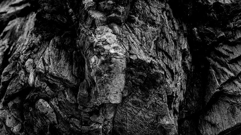 texture, surface, relief, bw, 4k