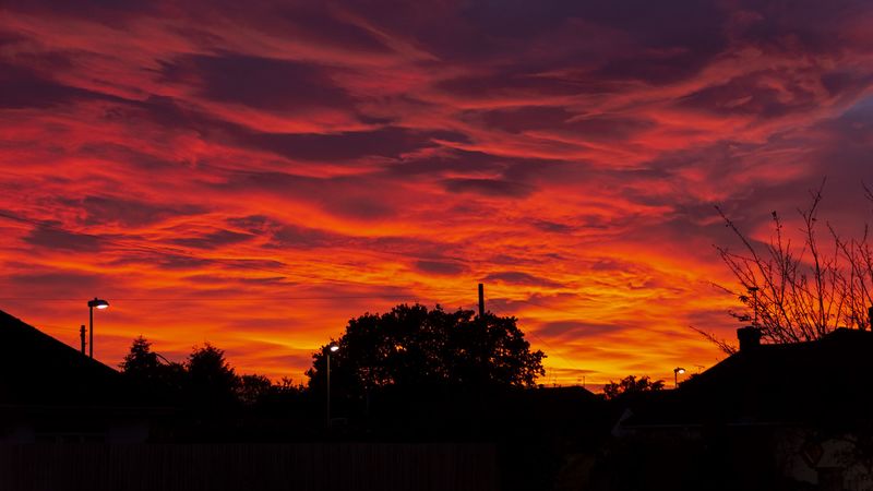 sunset, clouds, trees, fiery, 4k
