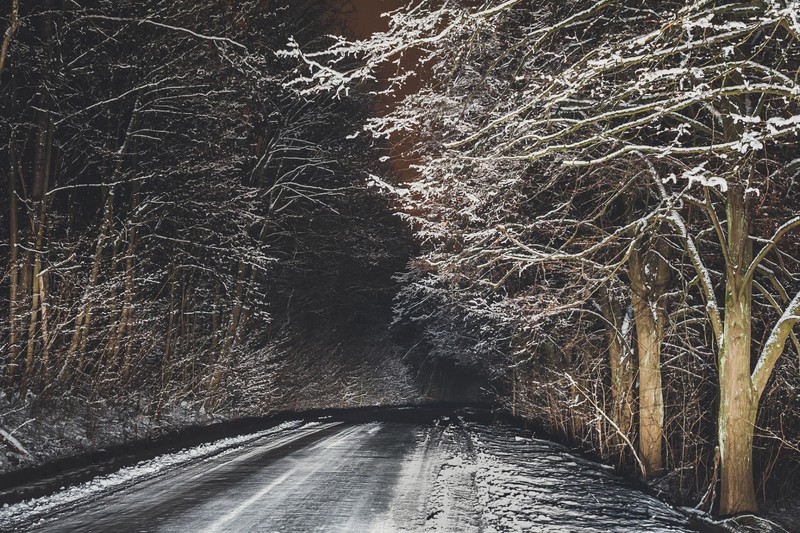 night, road, winter, trees