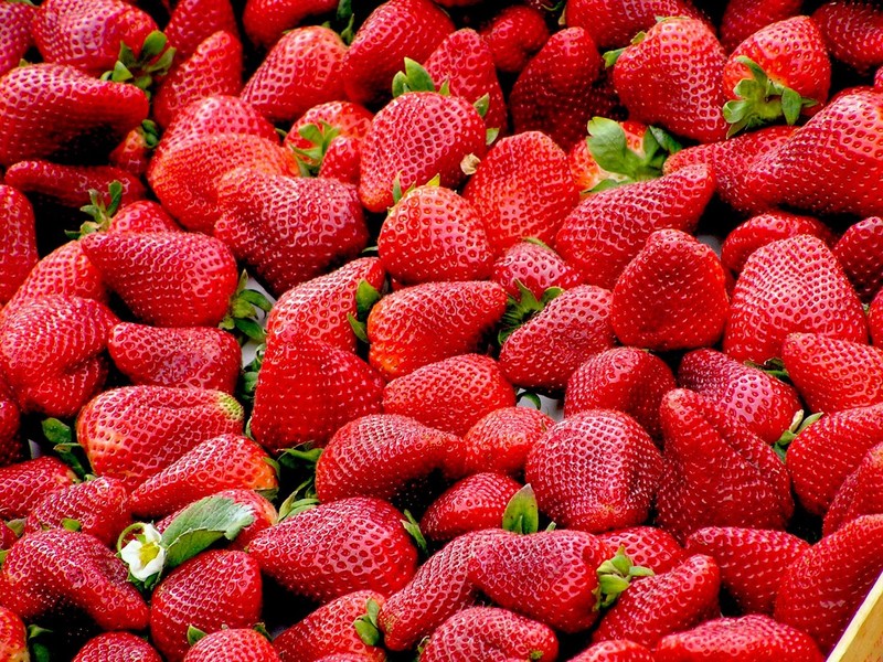 strawberries, fruit, food, red