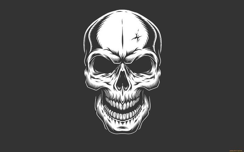 skull, minimalism, simple background
