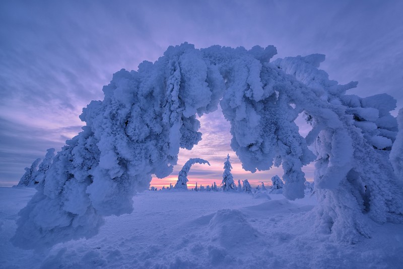 winter, snow, landscape, nature, blue