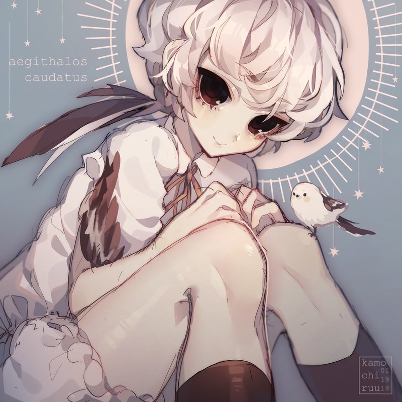 anime, anime girls, dark eyes, birds