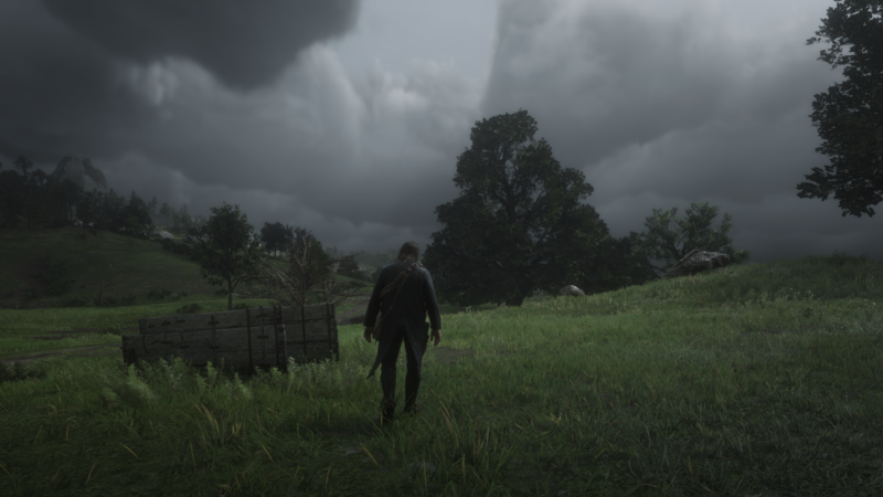 Red Dead Redemption 2, screen shot, video games