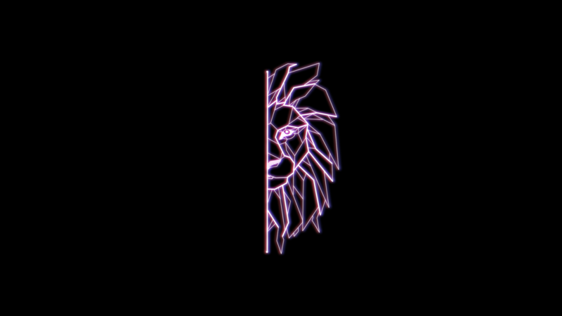 lion, lines, simple, simple background, animals, abstract, minimalism
