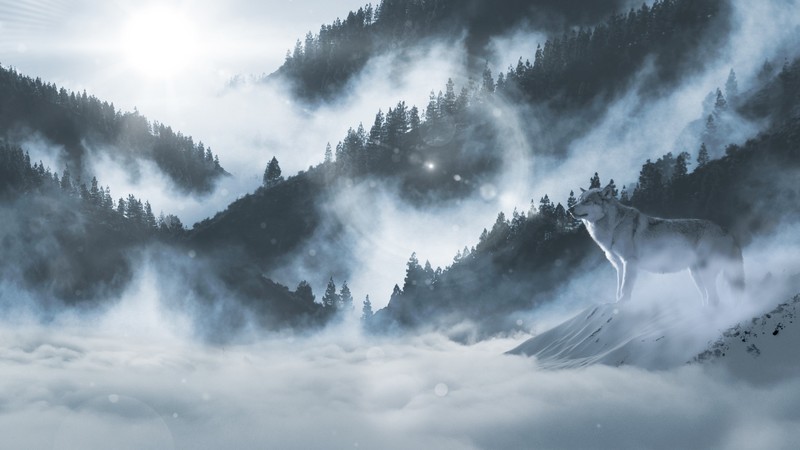nature, wolf, snow, mountains, landscape, mammals