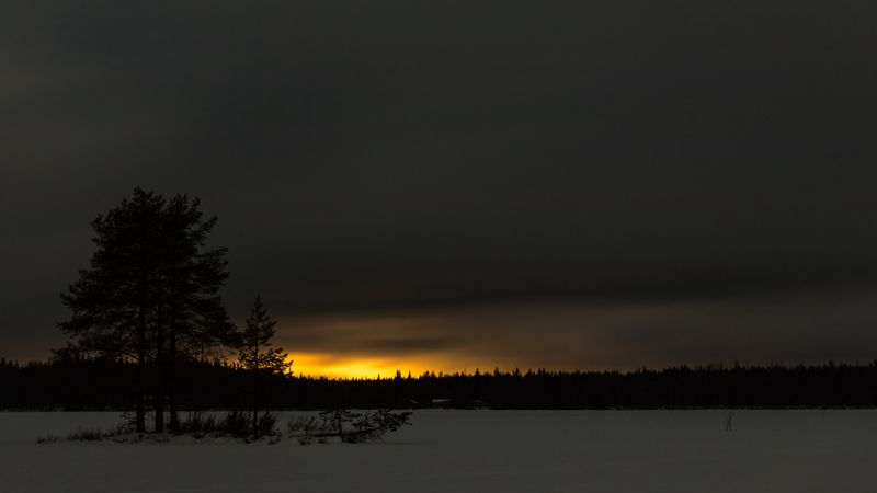 winter, sunset, horizon, snow, night, trees, 4k
