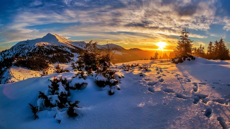 winter, snow, sunlight, nature, landscape
