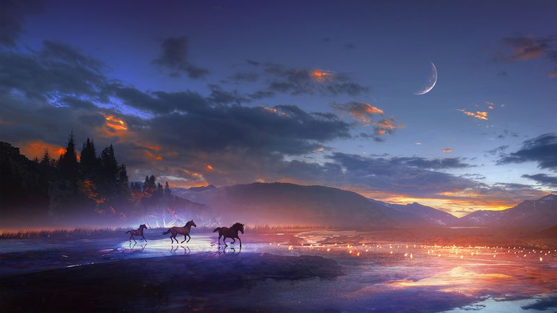 horses, art, night, shine, 4k