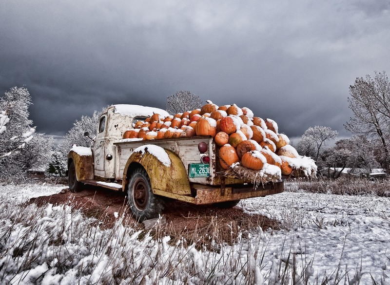 car, truck, vehicle, winter, numbers, snow, pumpkin, Colorado