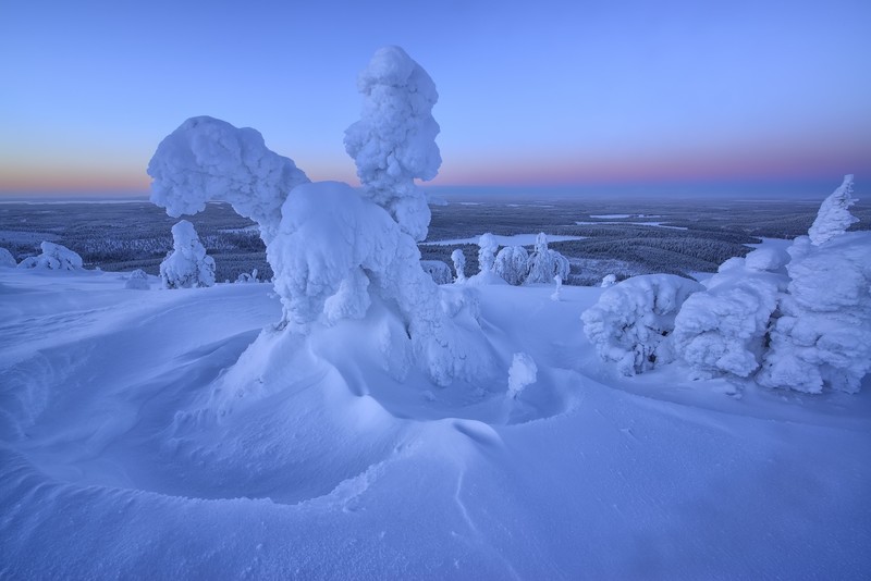nature, winter, snow, landscape