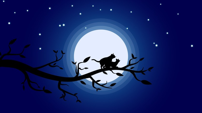 graphic design, illustration, cats, Moon, stars