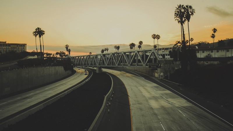 photography, palm trees, Freeway, bridge, California, urban, cityscape