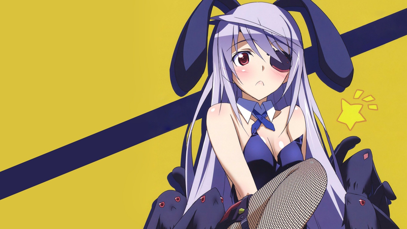 Infinite Stratos, eye patch, bunny costume, Bodewig Laura, anime, rabbits, white hair