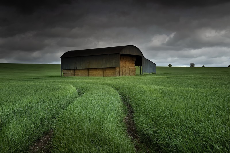 field, plants, landscape, clouds, dark