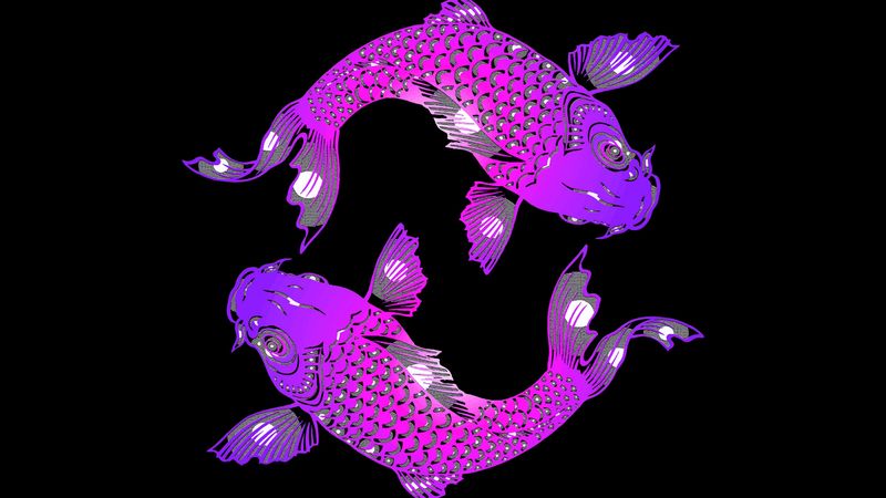 fish, yin and yang, art, 4k