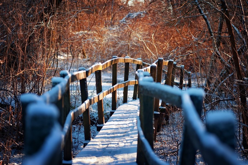 outdoors, winter, snow