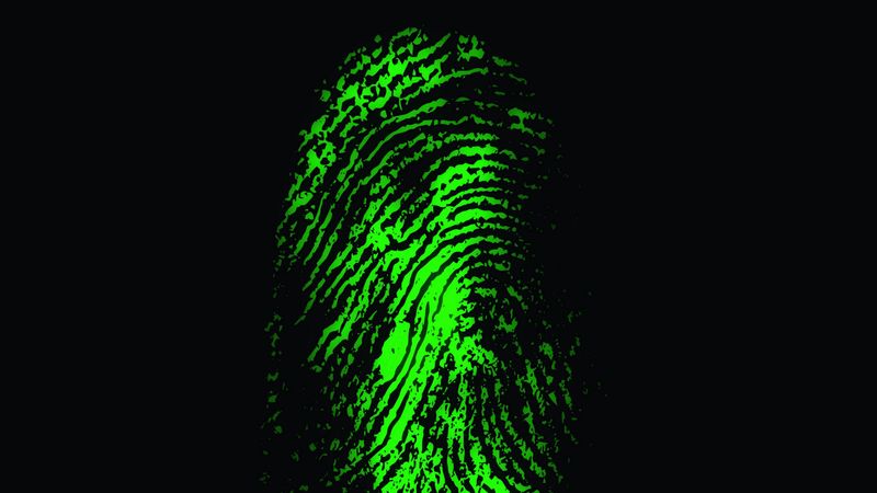 fingerprint, finger, scanner, green, trace, 4k