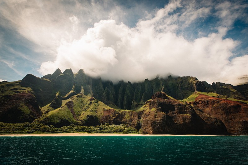nature, landscape, water, beach, trees, Hawaii