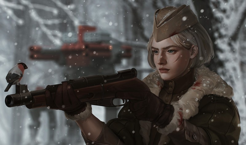weapon, birds, snow, forest, gun, women, scars, War Machine