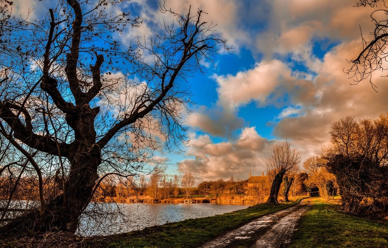 outdoors, clouds, water, trees, dirt road, fall