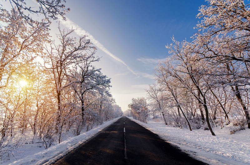 winter, road, trees, outdoors, asphalt, snow, long road, calm, sunlight