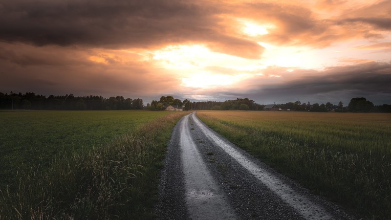 landscape, nature, sunset, path, field, clouds