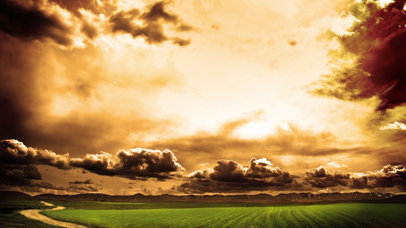 nature, field, sky, clouds, sunlight