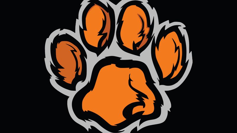 paw, trace, imprint, minimalism, 4k