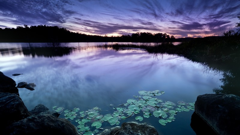 photography, nature, clouds, water, plants, dark