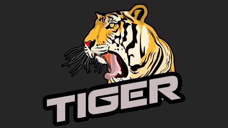 tiger, grin, inscription, vector, 4k