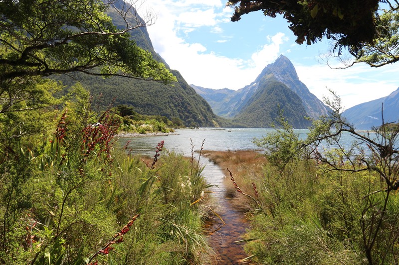 New Zealand, Fiordland National Park, landscape