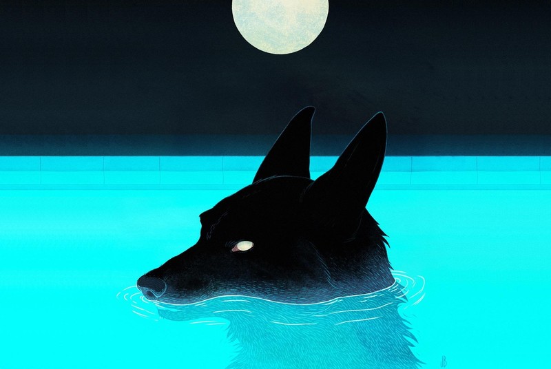 wolf, swimming pool, Moon, night, artwork, blue, turquoise, cyan, dog, in water