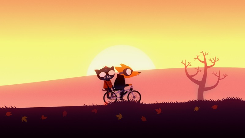 night in the woods, landscape, fall, bicycle