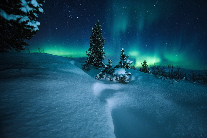 nature, snow, night, winter