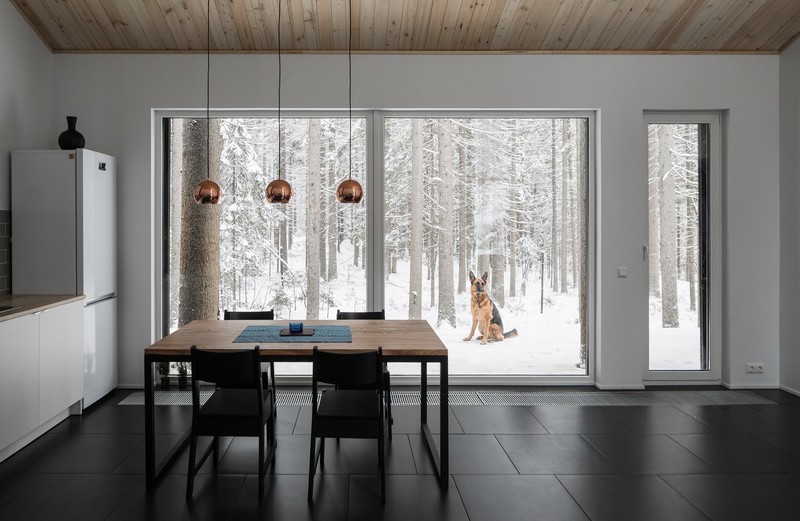 room, interior, dog, house, modern, snow, pet