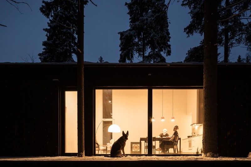 room, interior, dog, house, modern, family, pet, night, German Shepherd, dark, humor
