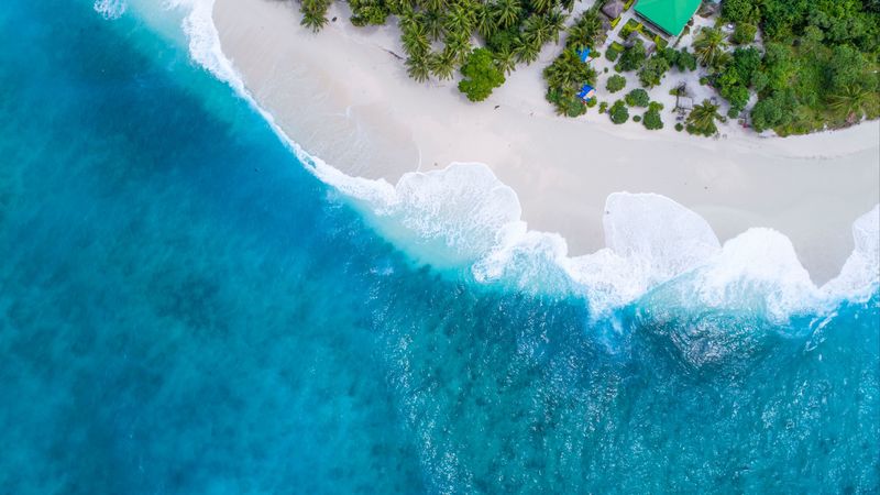 ocean, aerial view, palm trees, tropics, maldives, 4k