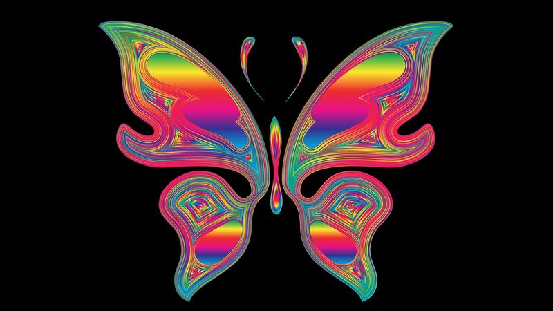 butterfly, shine, multicolored, chromatic, prismatic, 4k