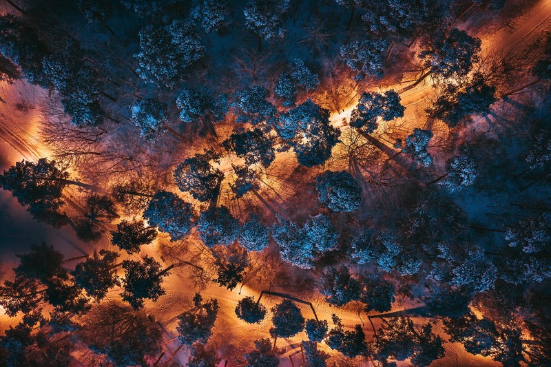 park, night, lights, aerial view, trees