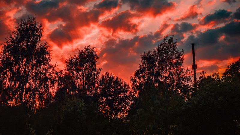 trees, sunset, sky, clouds, autumn, evening, 4k