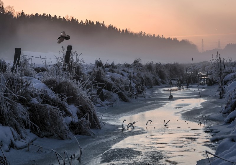 cold, winter, ice, snow, landscape