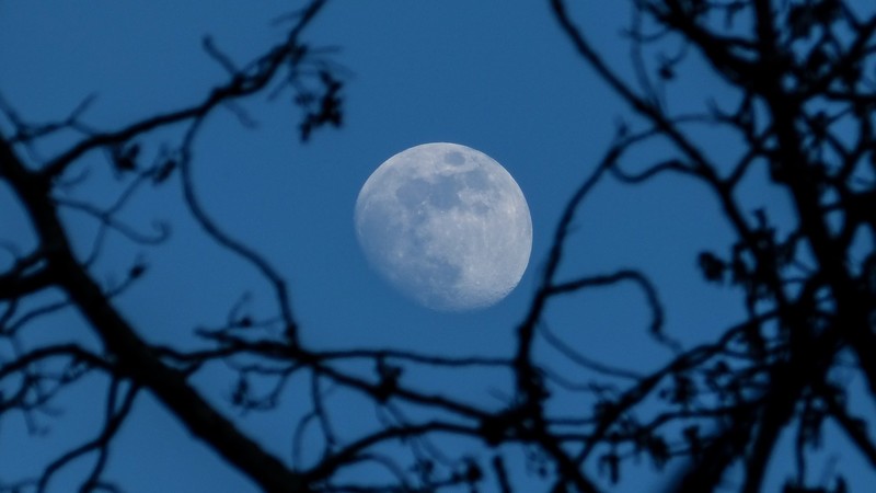 Moon, sky, blue, outdoors