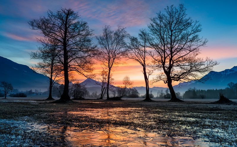 dark, sunlight, trees, nature, sky, winter, ice