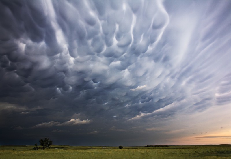 nature, landscape, Camille Seaman, clouds, horizon, photography, field, trees