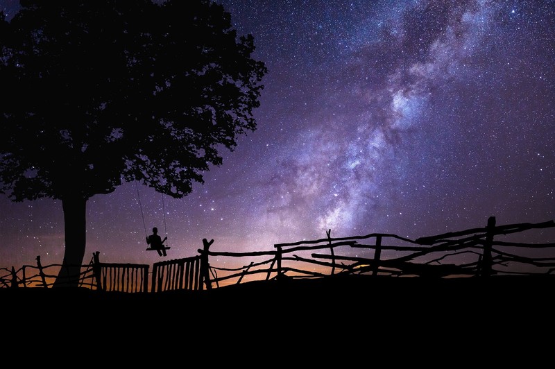 stars, alone, tree bark